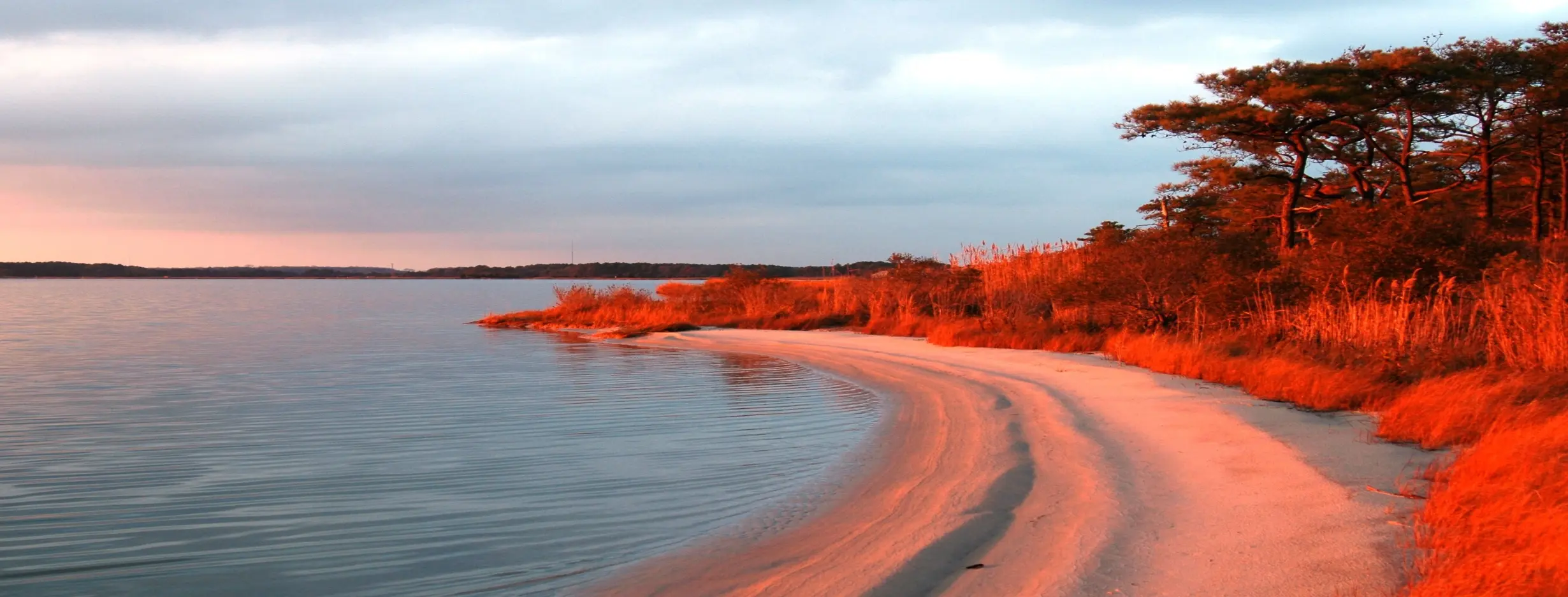 Image for Fenwick Island Park